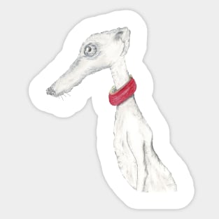 greyhound Sticker